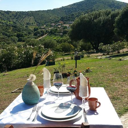 Agriturismo Sorres Villa Budoni Eksteriør billede